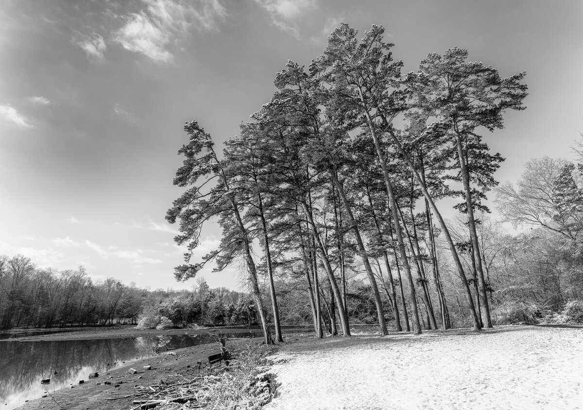 _DSC2034-NEF_DxO_HQ-Pano-Edit-Edit.jpg