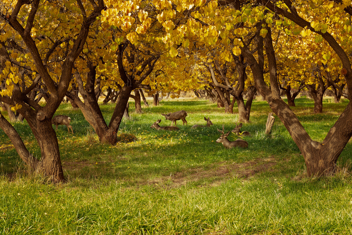 _DSC2036_DxO-Edit.jpg