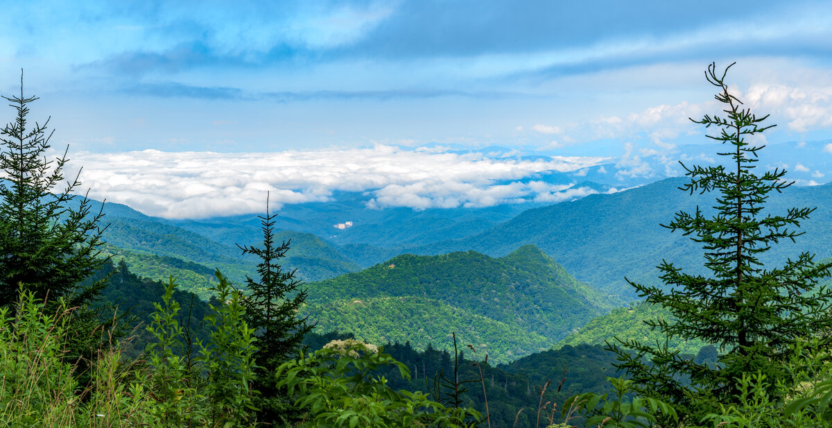 _DSC2071-Pano-Edit.jpg
