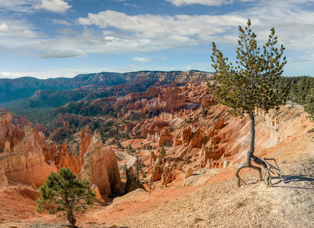 _DSC2089-Pano-Edit-Edit.jpg