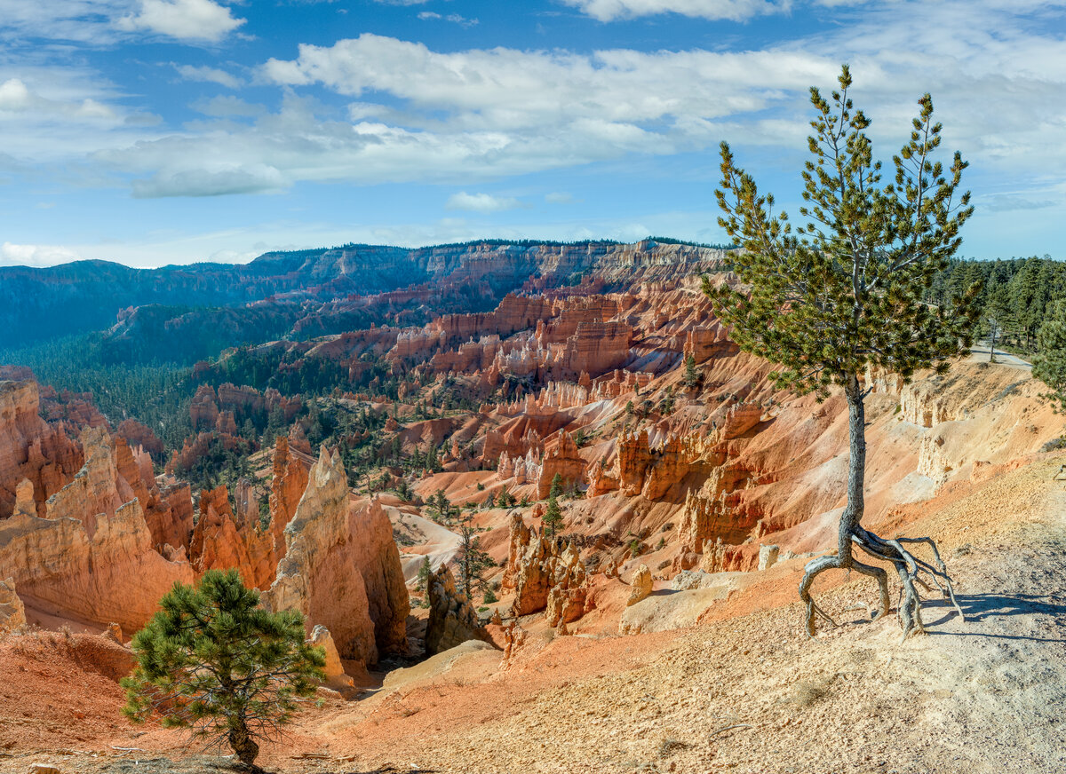 _DSC2089-Pano-Edit-Edit.jpg