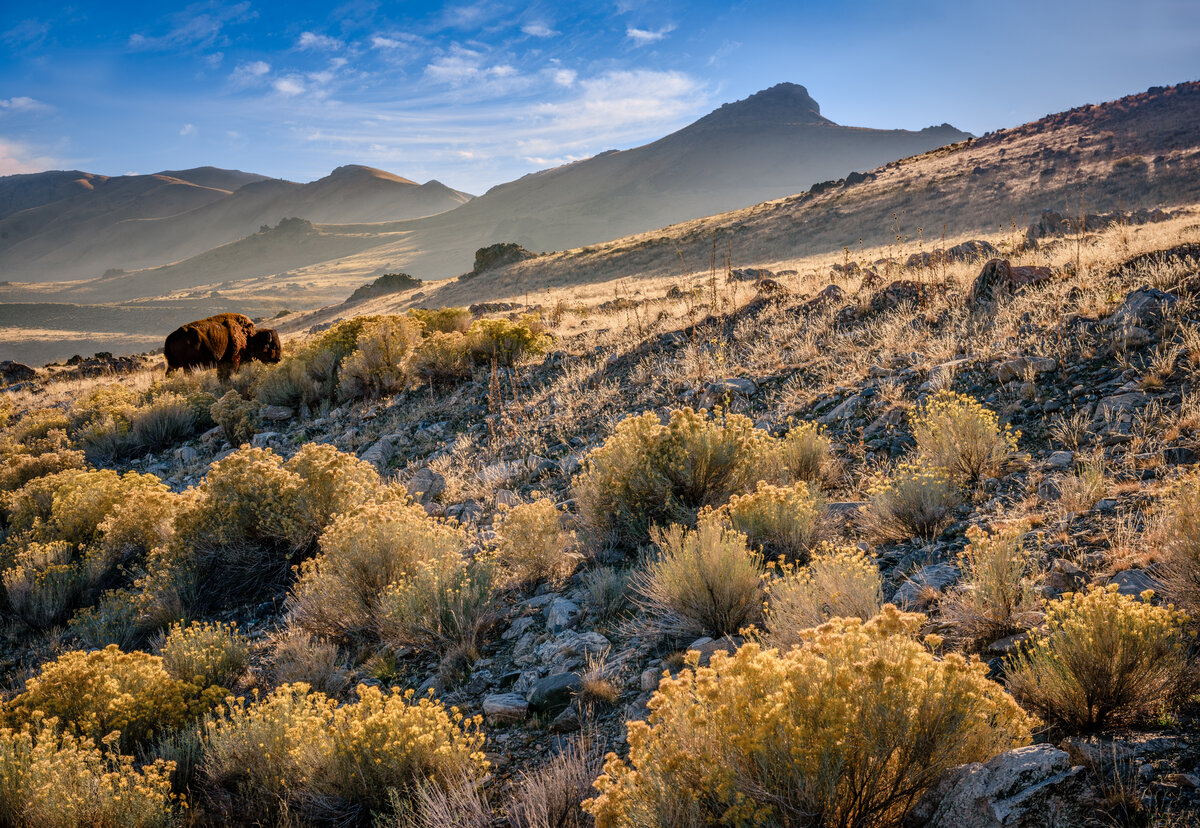 _DSC2101-Edit.jpg