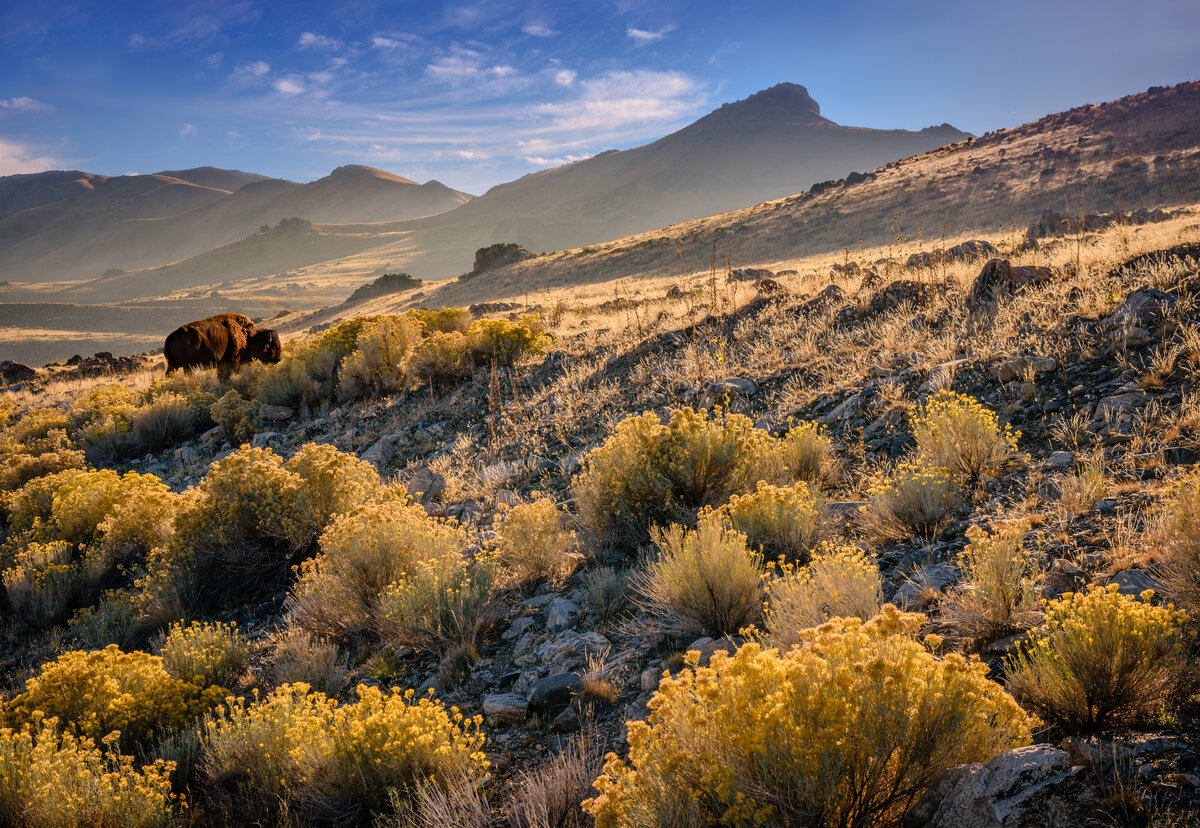 _DSC2101-Edit.jpg