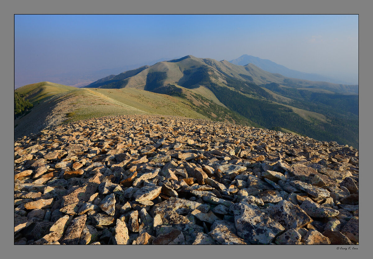_DSC2159-X2.jpg