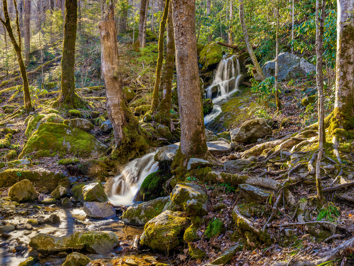 _DSC2221-NEF_DxO_HQ-Edit.jpg
