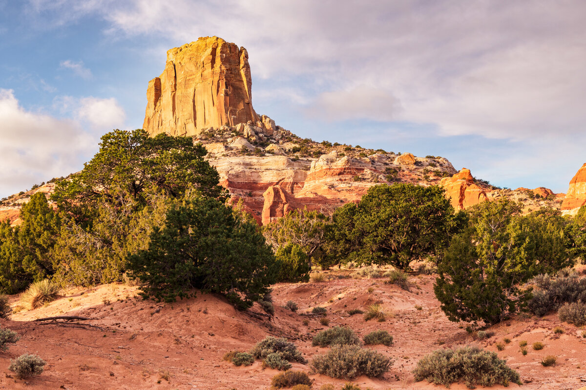 _DSC2226-Edit.jpg