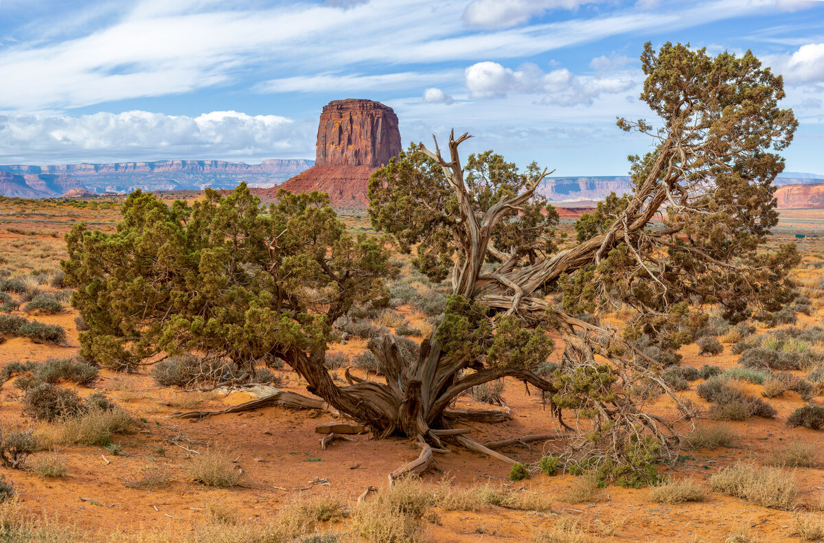 _DSC2261-NEF_DxO_DeepPRIMEXD-Pano-Edit.jpg