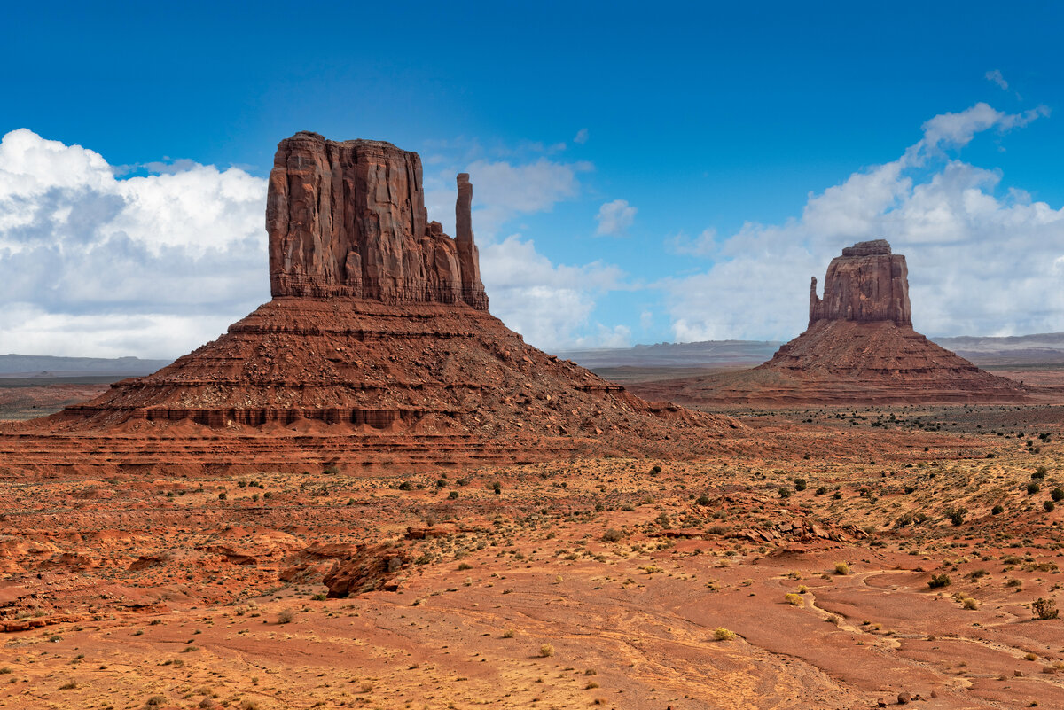 _DSC2265_DxO-Edit.jpg