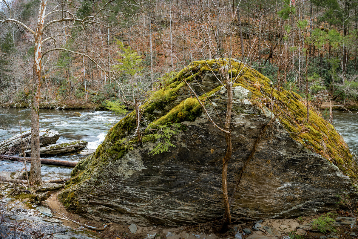 _DSC2281-Pano-Edit.jpg