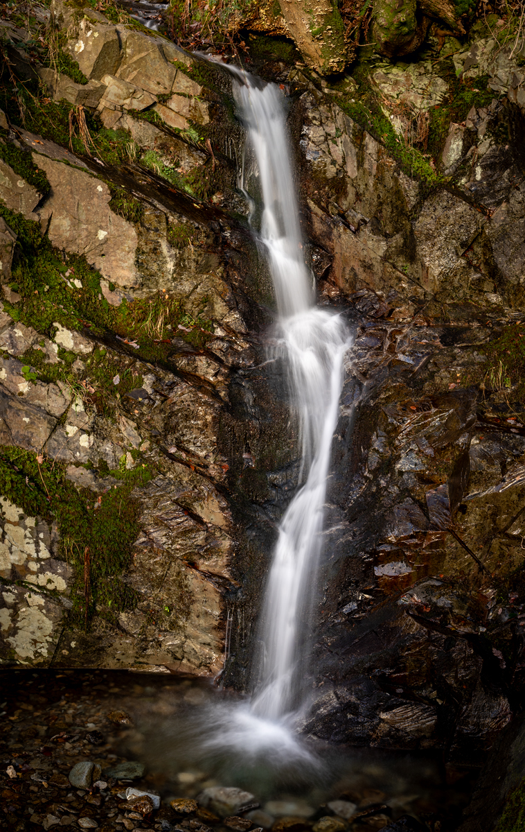 _DSC2311-1 2313 merge copy.jpg