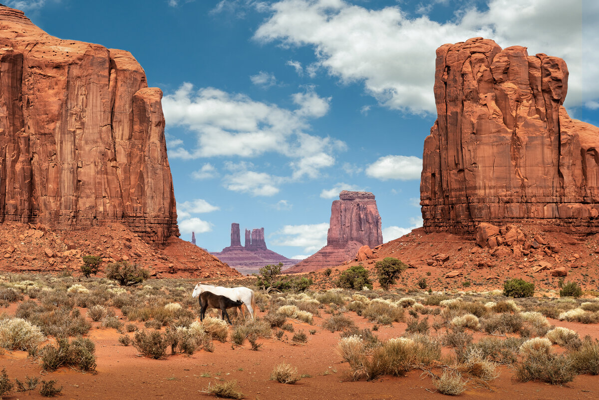 _DSC2377_DxO-Edit.jpg