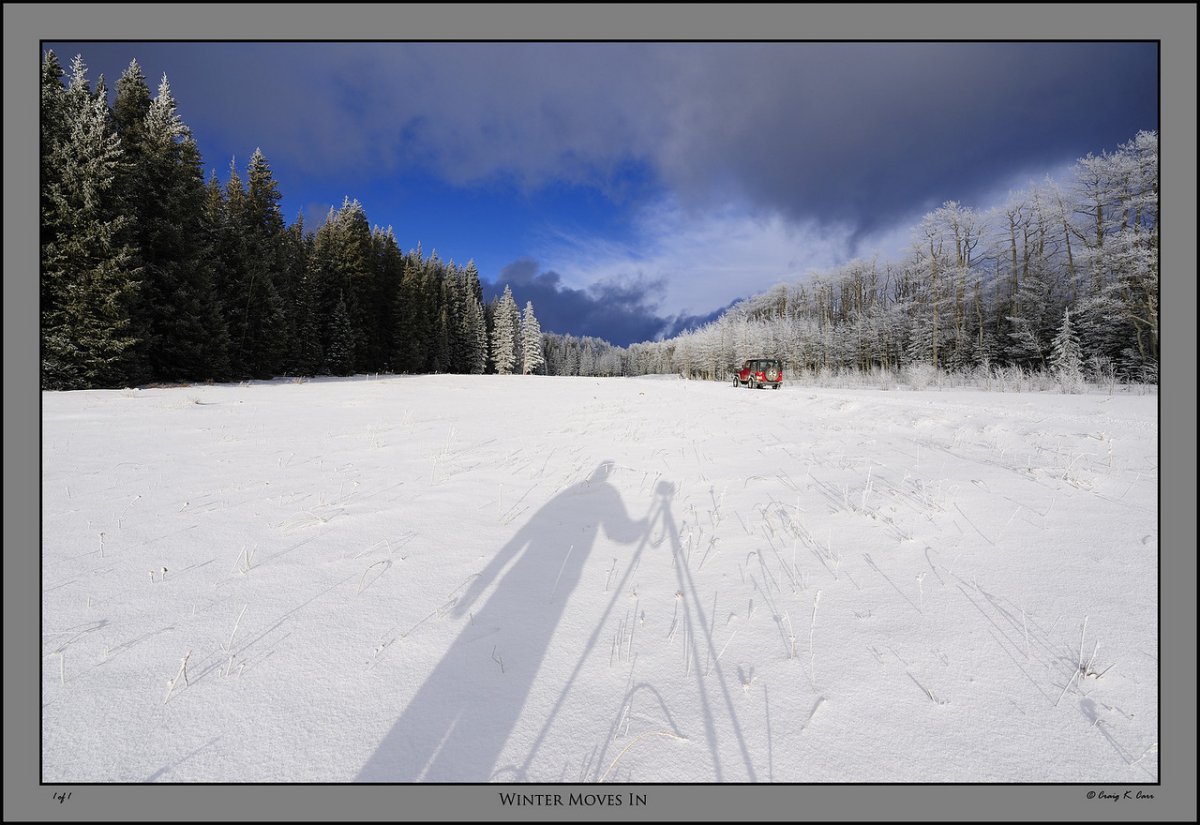 _DSC2395-X2.jpg