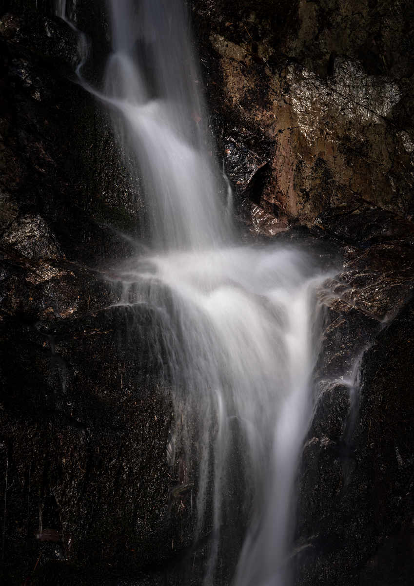 _DSC2427 to 2431 merge copy.jpg