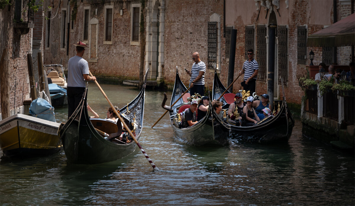 _DSC2431-1 from laptop copy.jpg