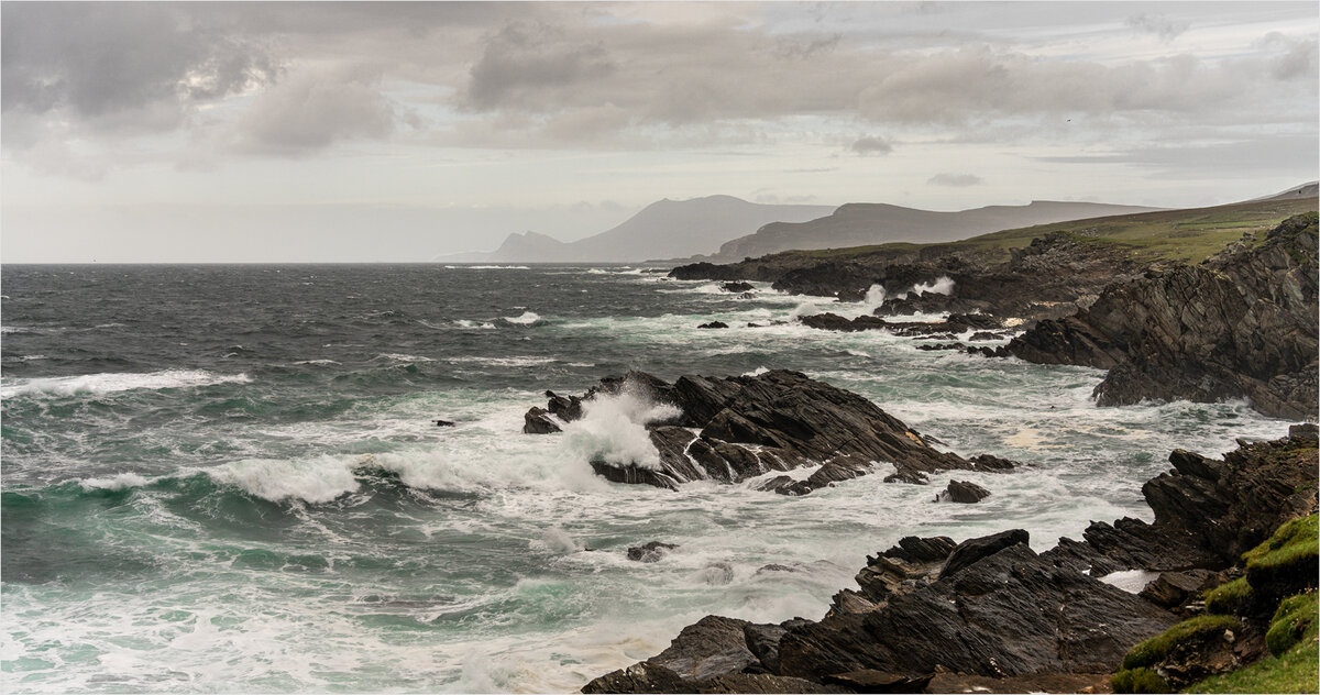 _DSC2435-1 copy.jpg