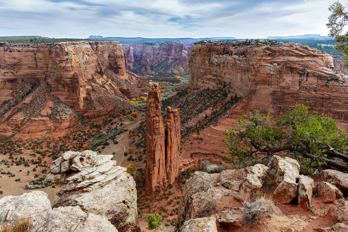 _DSC2440-NEF_DxO_DeepPRIMEXD-Edit.jpg