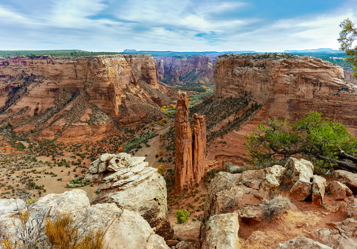 _DSC2440-NEF_DxO_DeepPRIMEXD-Edit.jpg