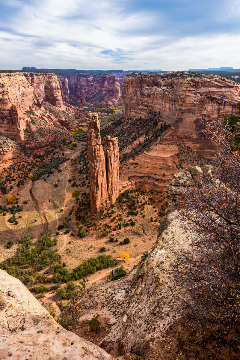 _DSC2443-Edit.jpg