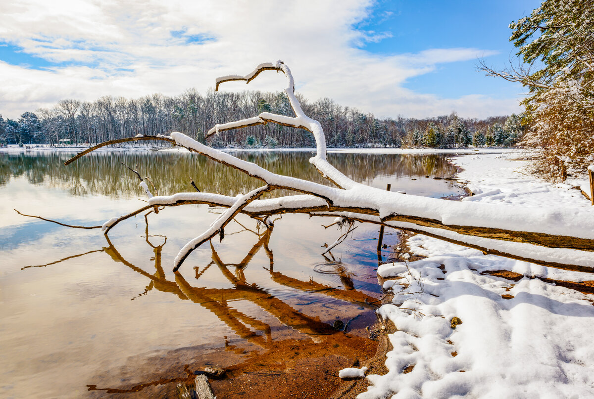 _DSC2444-Pano-Edit.jpg