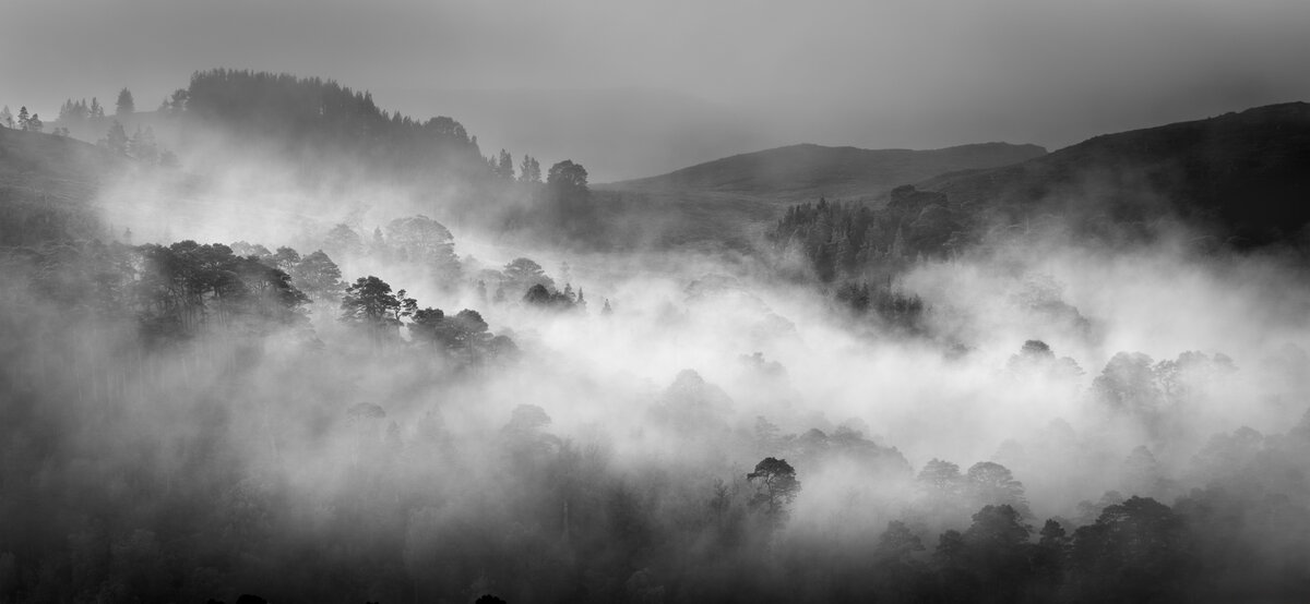 _DSC2486-1 copy.jpg
