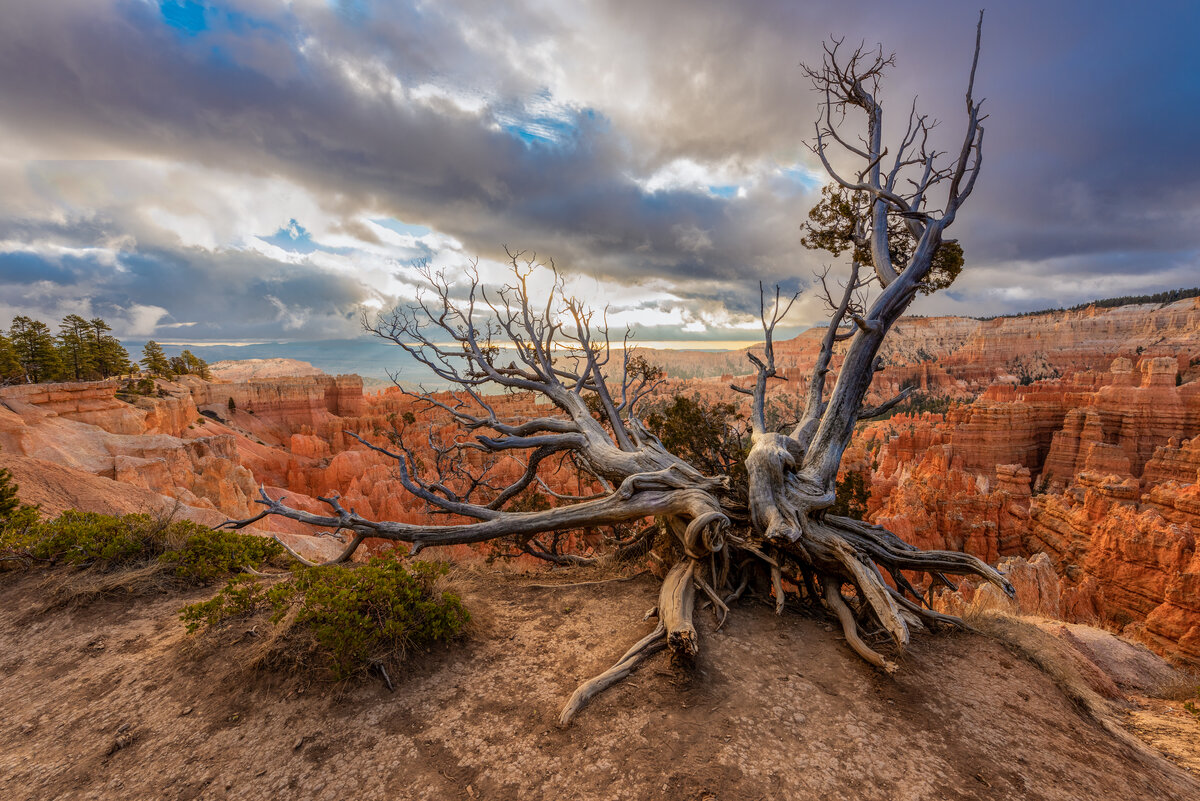 _DSC2549 2-Edit.jpg
