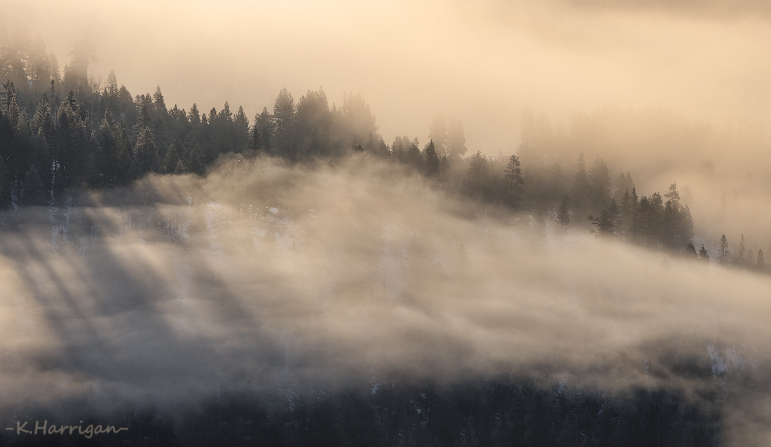 _DSC2625-sharpened.jpg