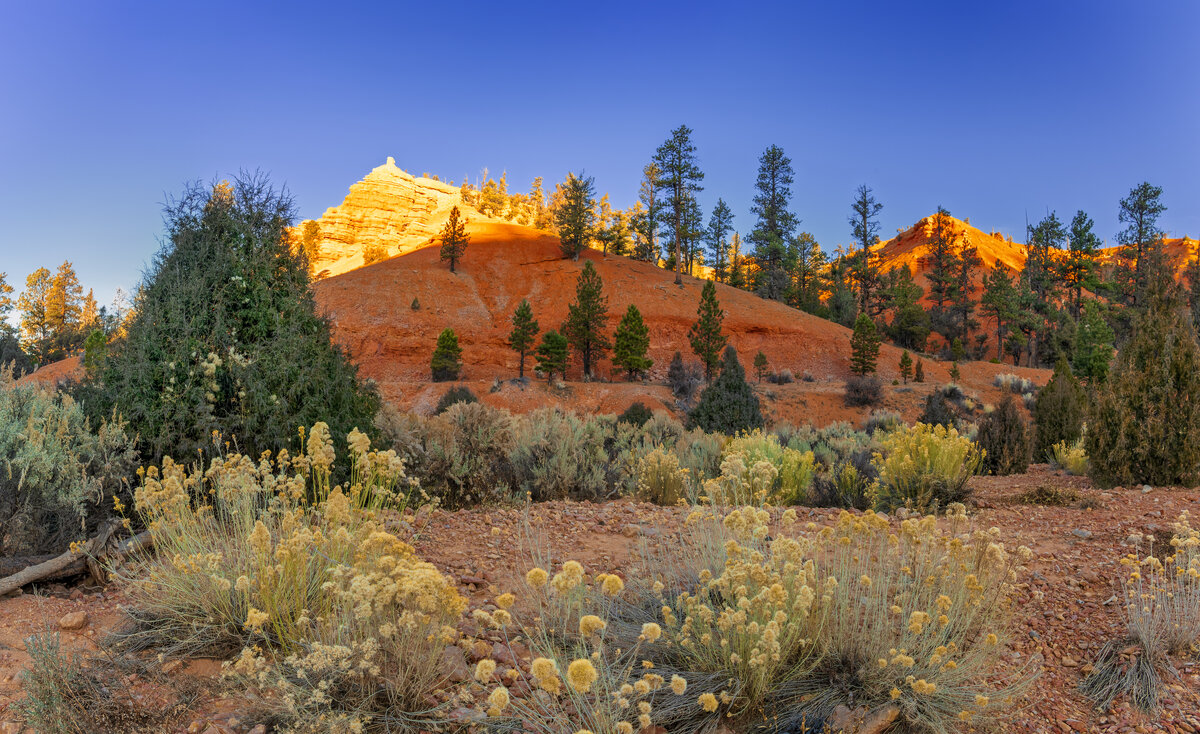 _DSC2749_DxO-Pano-Edit-2.jpg