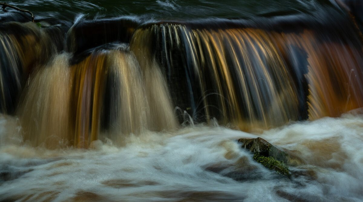 _DSC2860-1.jpg