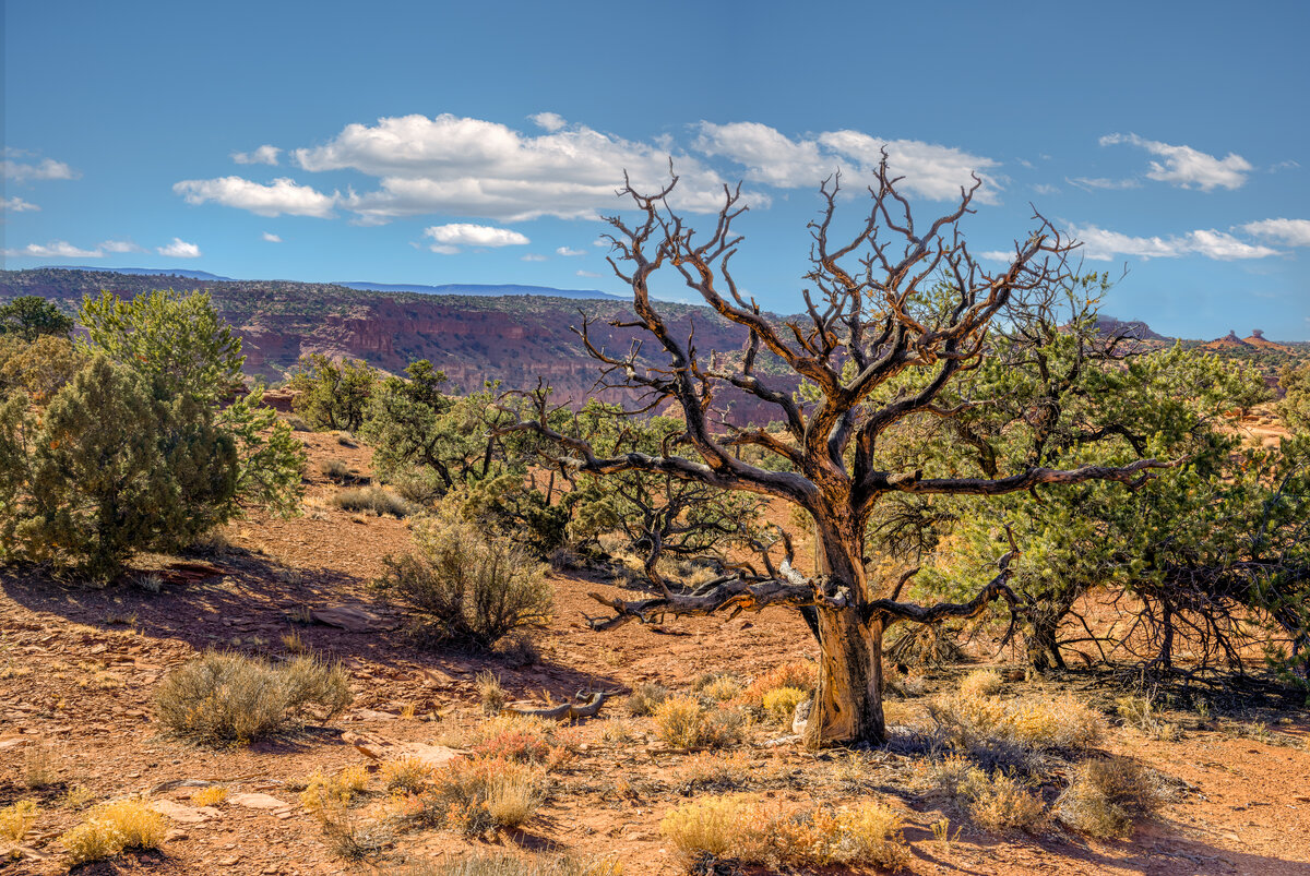 _DSC2906-Pano-Edit2.jpg