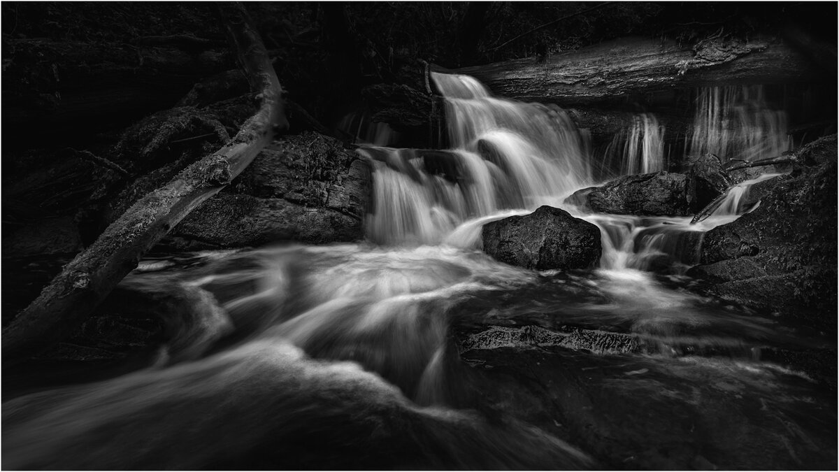 _DSC2921-1 mono thin white stroke.jpg