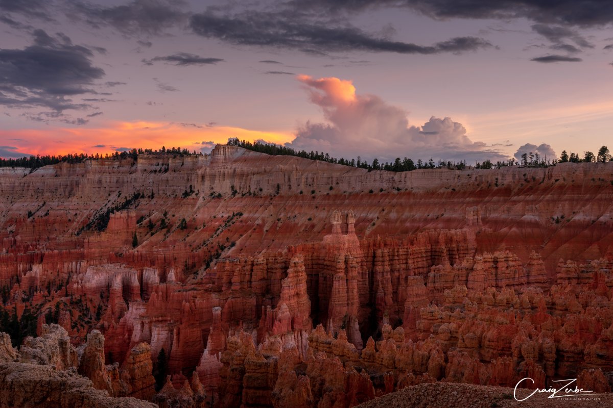 _DSC2981-HDR.jpg