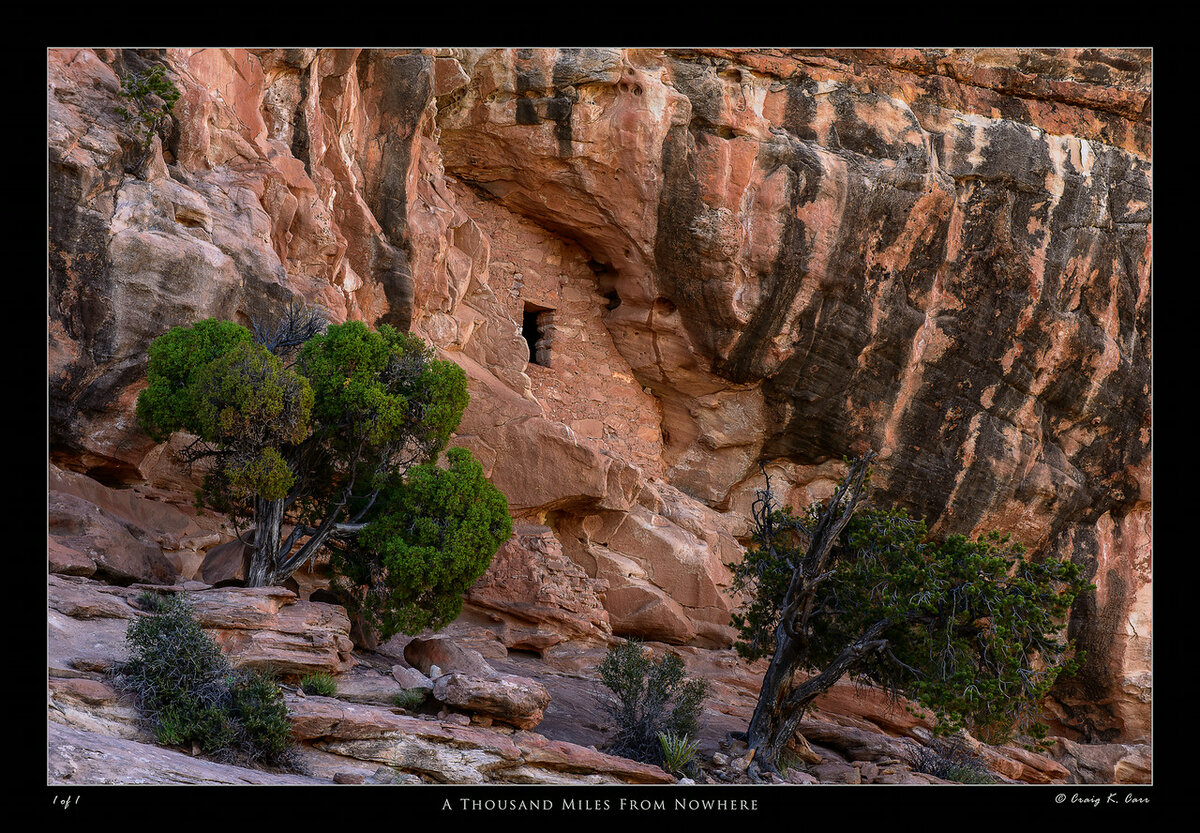 _DSC2989_003676-X2.jpg