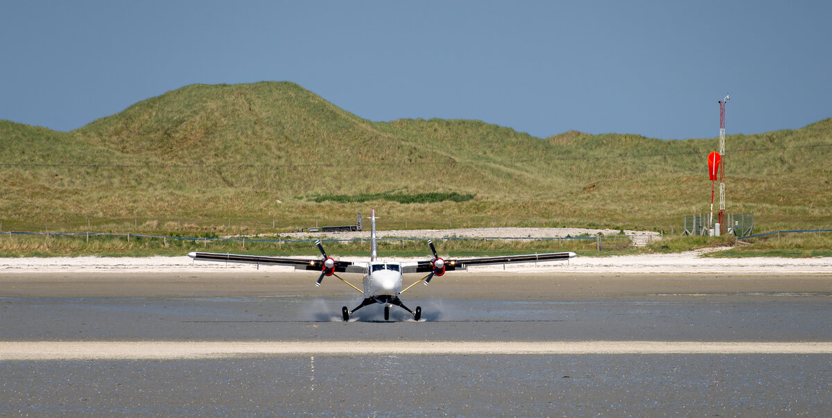 _DSC2991-ARW_DxO_DeepPRIME-1 copy.jpg