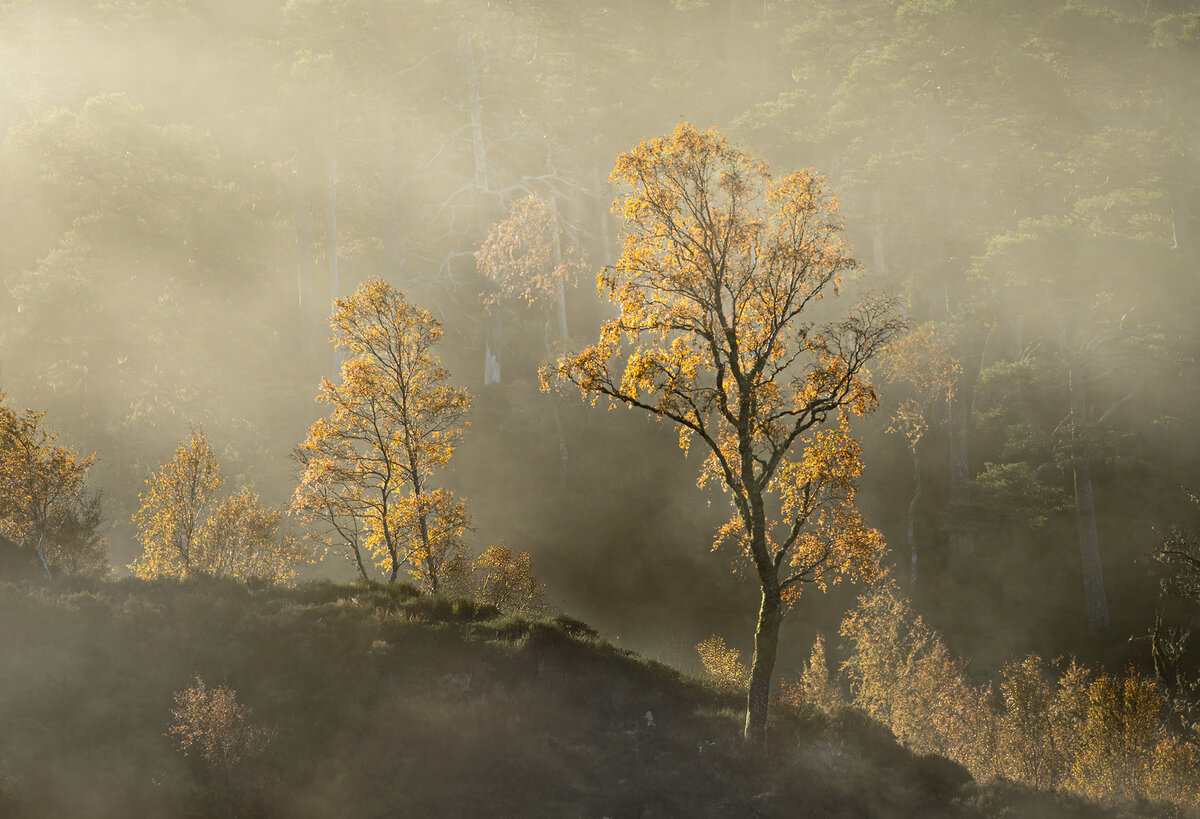 _DSC3015-1 copy.jpg
