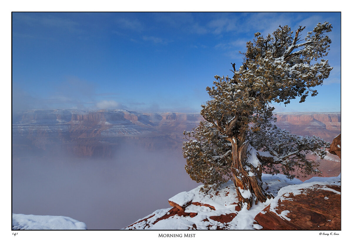 _DSC3032-X2.jpg