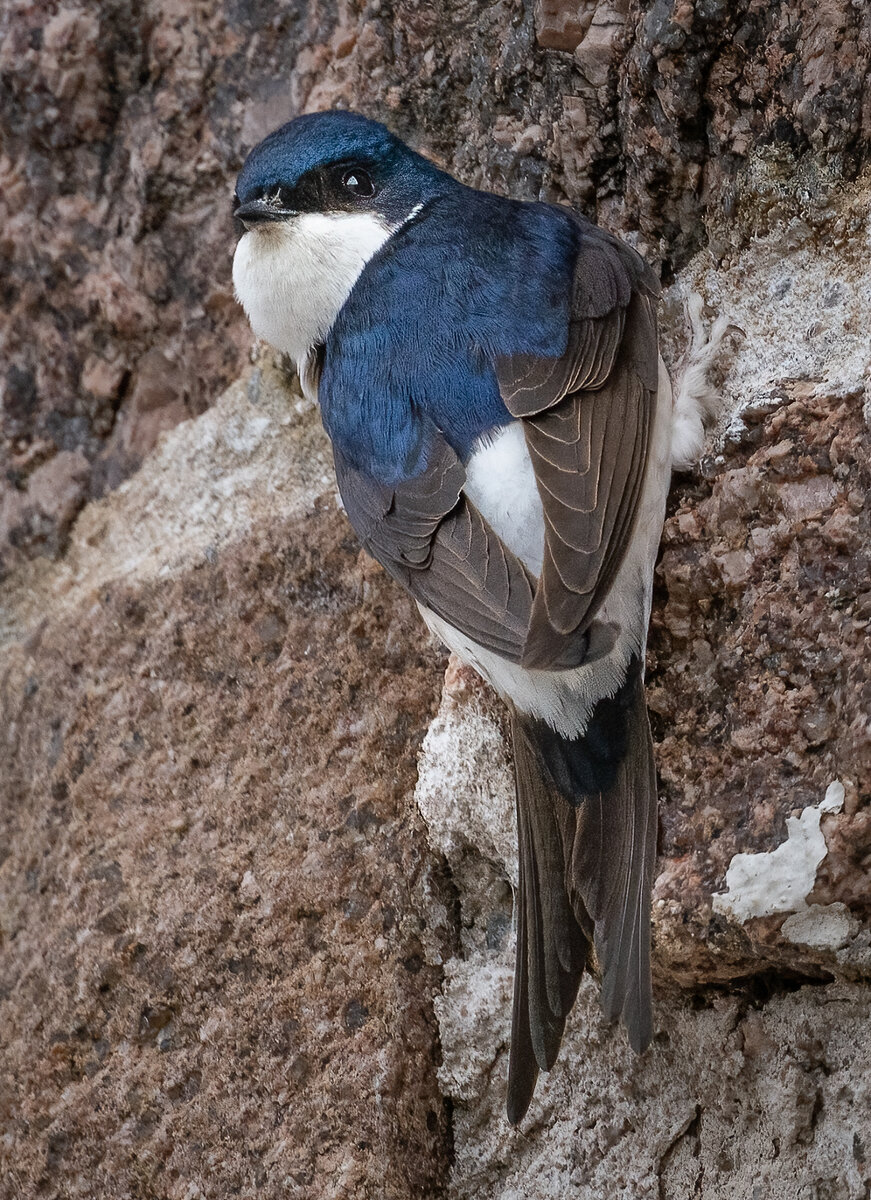_DSC3150-1.jpg