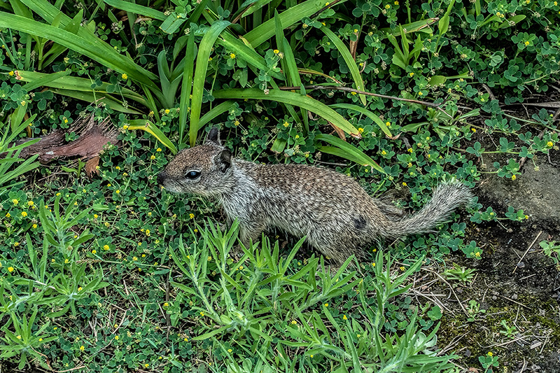 _DSC3161_dw.jpg