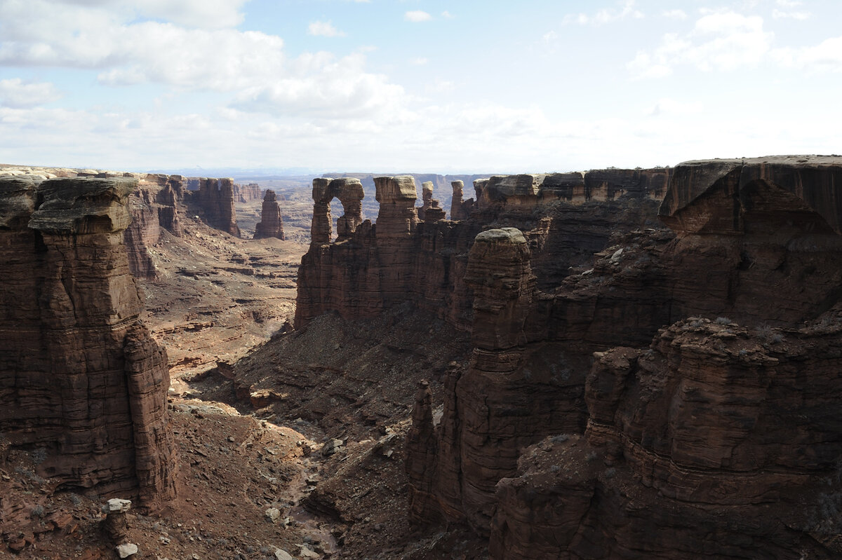 _DSC3222-X2.jpg