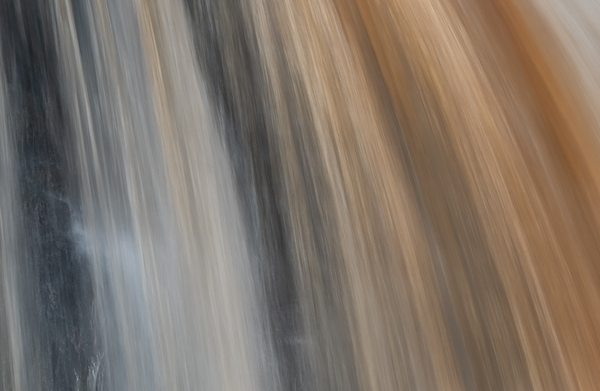 _DSC3295-1.jpg