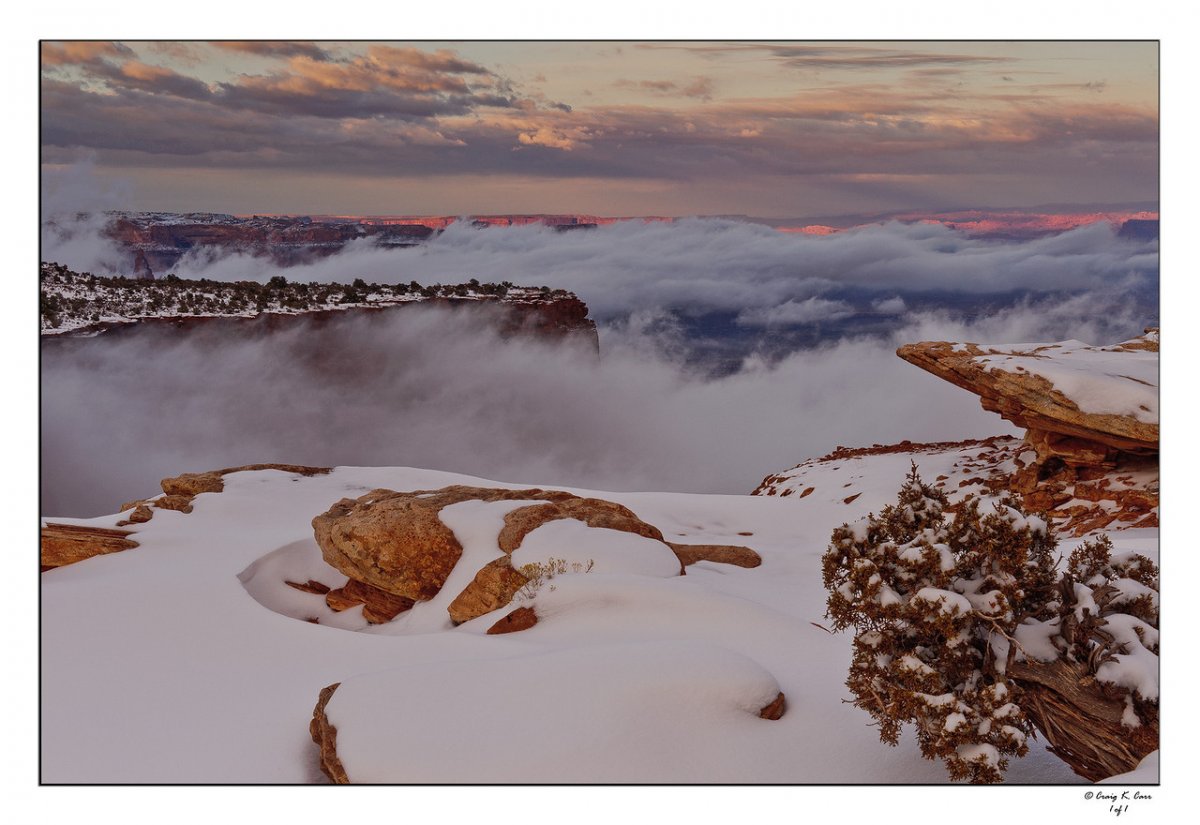 _DSC3321-X2.jpg