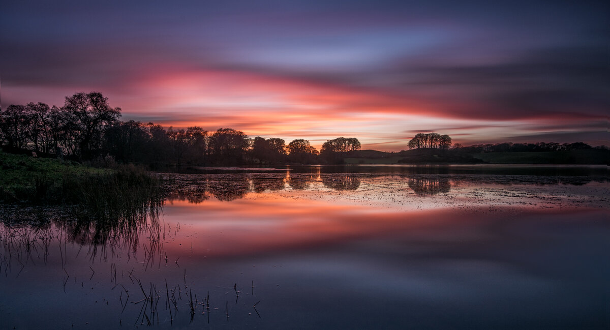 _DSC3441-2 no edge.jpg