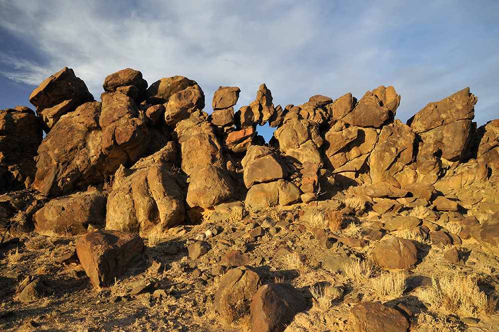 _DSC3466_d1w.jpg