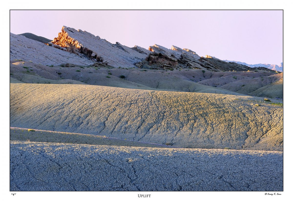 _DSC3503-X2.jpg