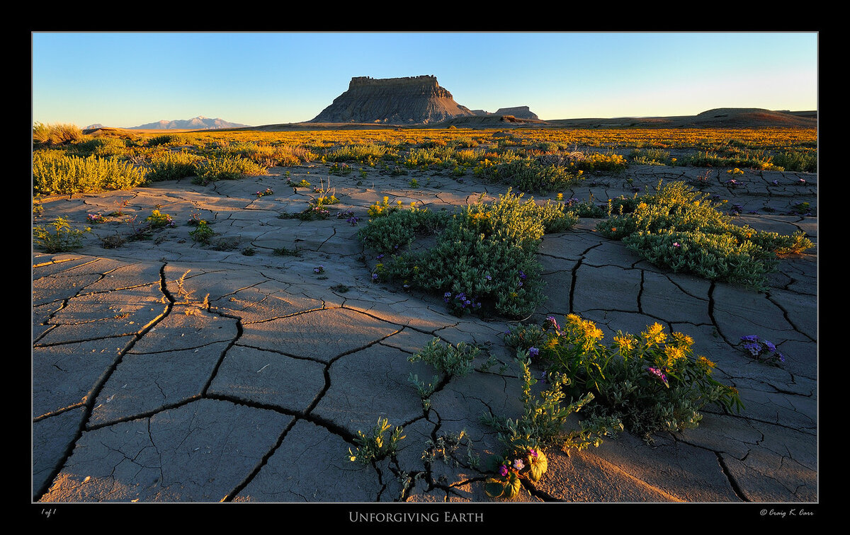 _DSC3511_1-X2.jpg