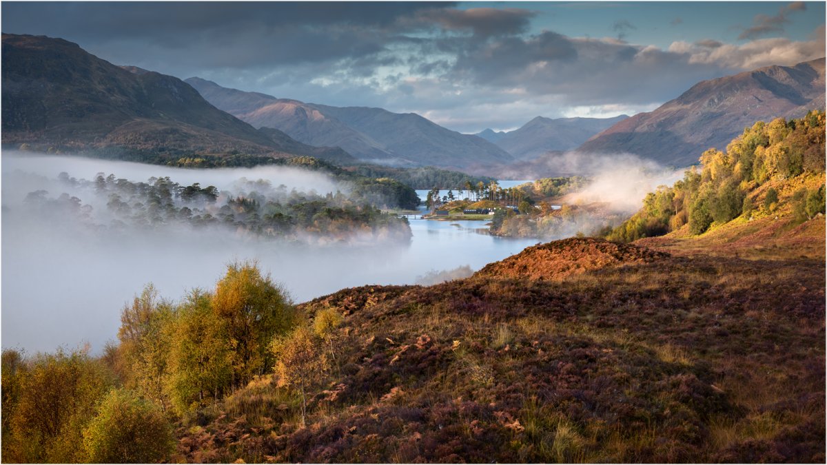 _DSC3529-2 sharpen white stroke.jpg