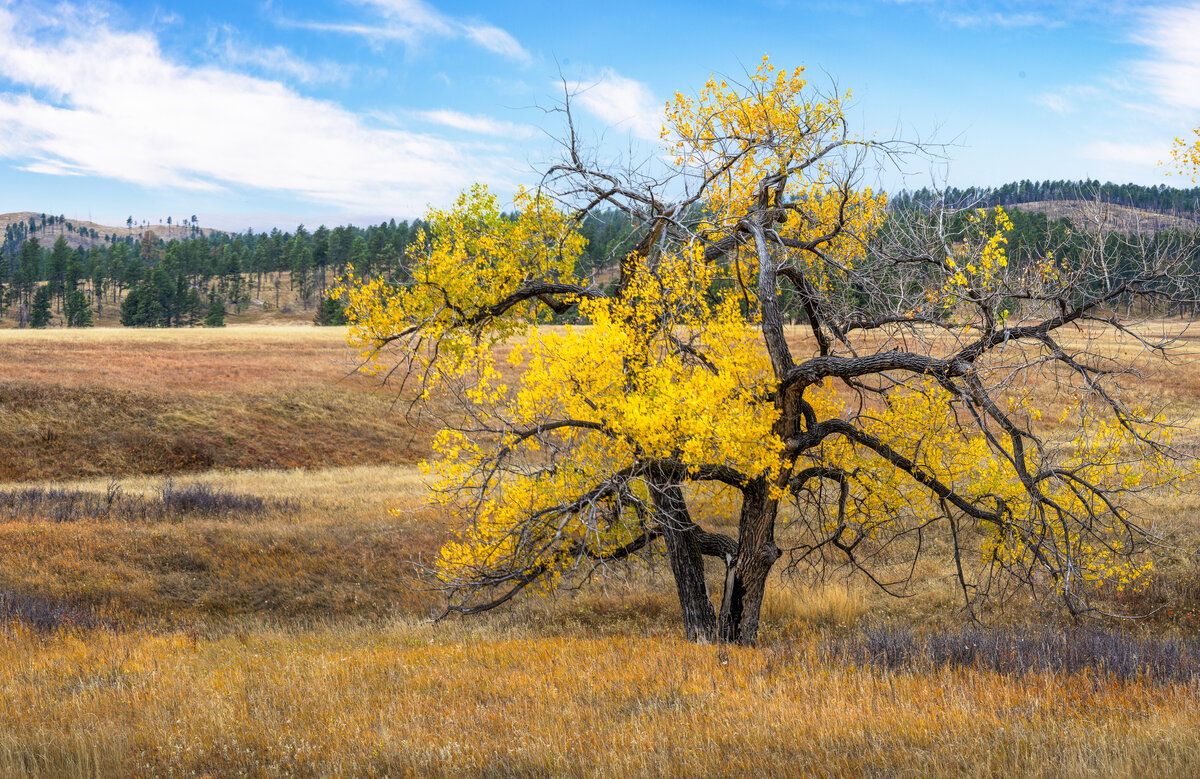 _DSC3539-Pano-Edit.jpg