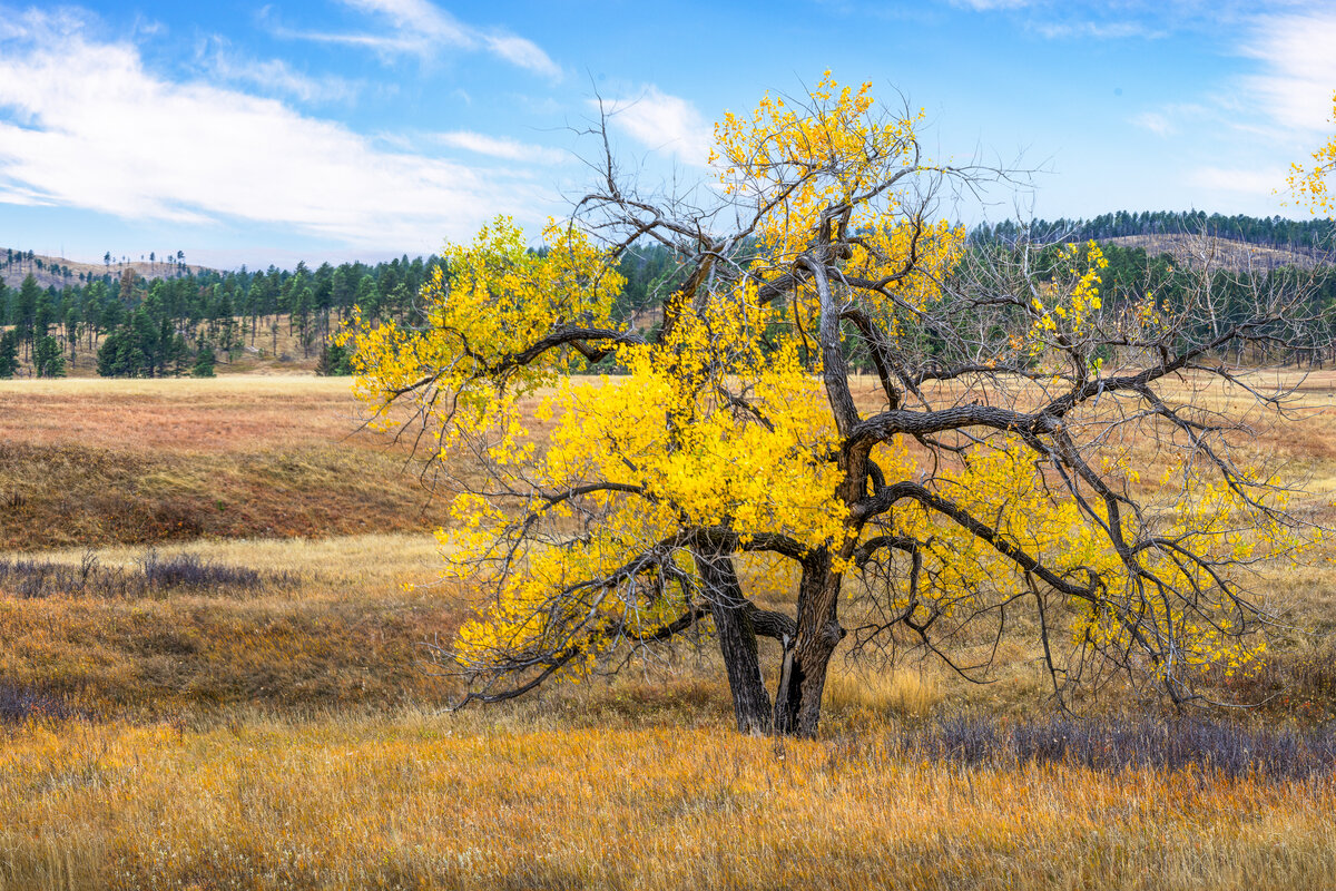 _DSC3539-Pano-Edit.jpg