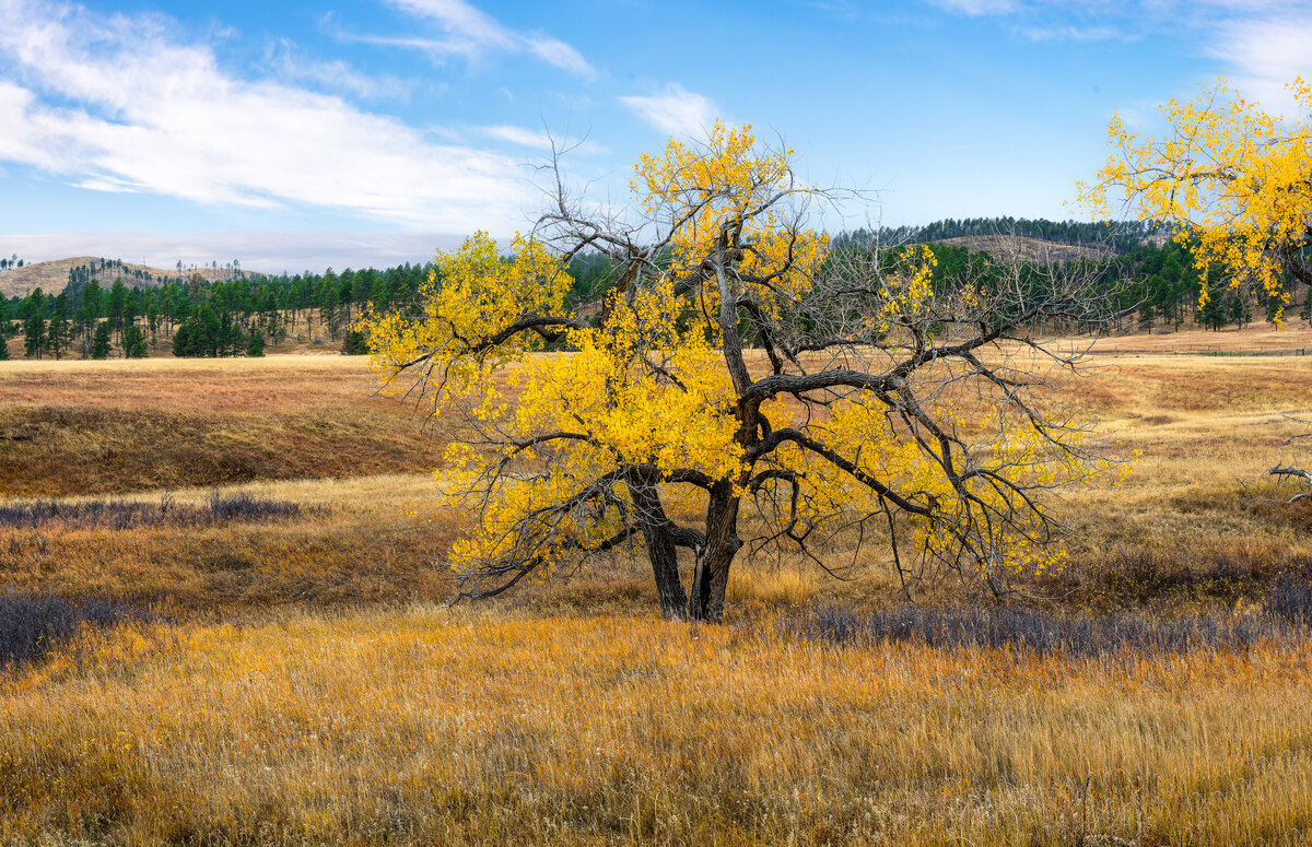 _DSC3544-NEF_DxO_DeepPRIMEXD-Pano-Edit.jpg