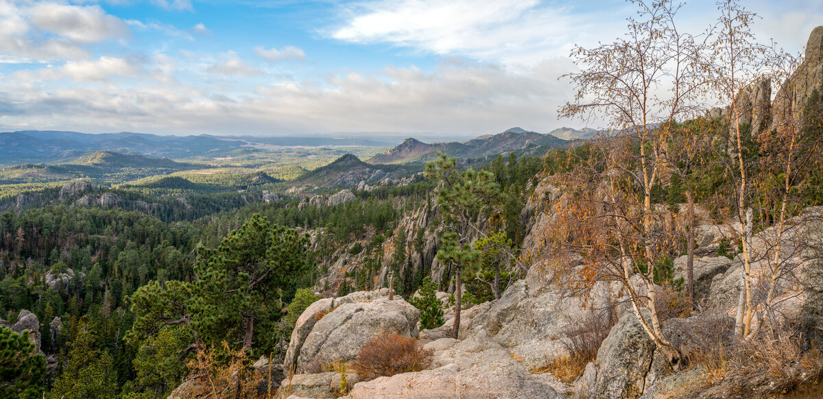 _DSC3587-Edit.jpg