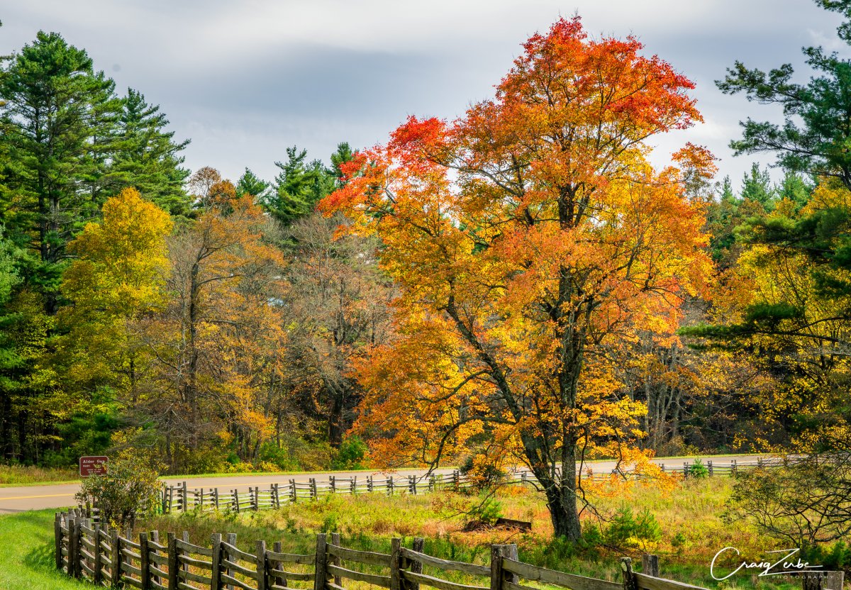 _DSC3594-Edit.jpg